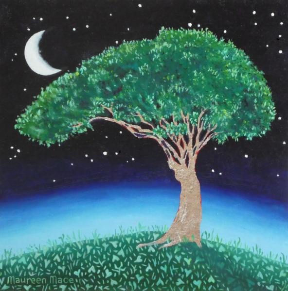 Still Night
